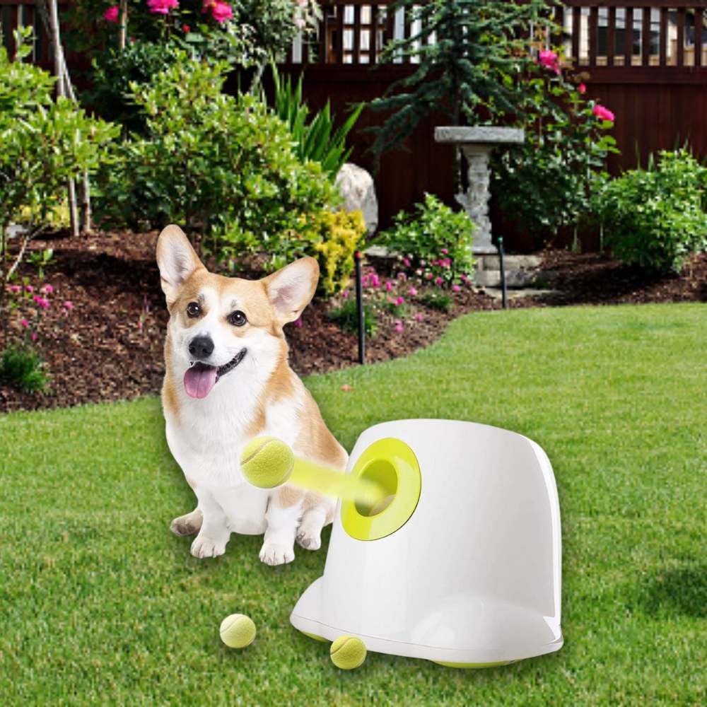 Automatic Ball Launcher