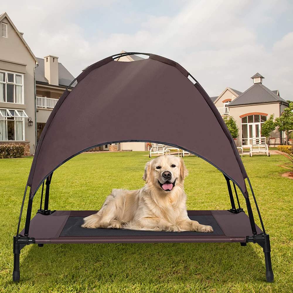 Elevated Bed with Canopy