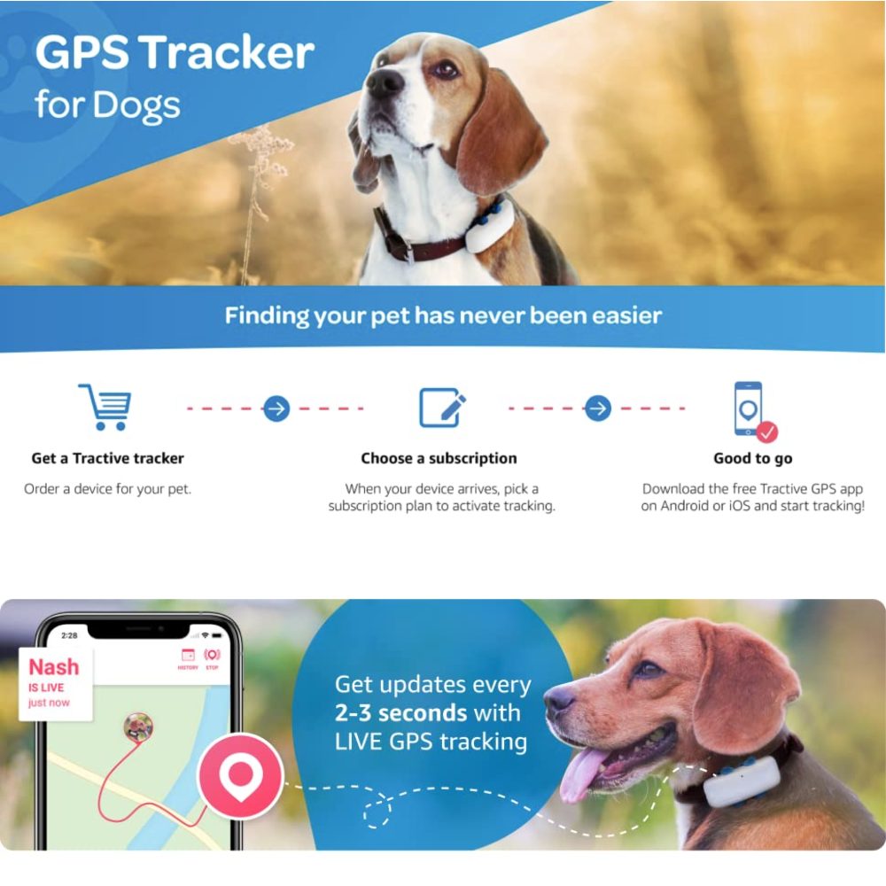 GPS Tracker Collar