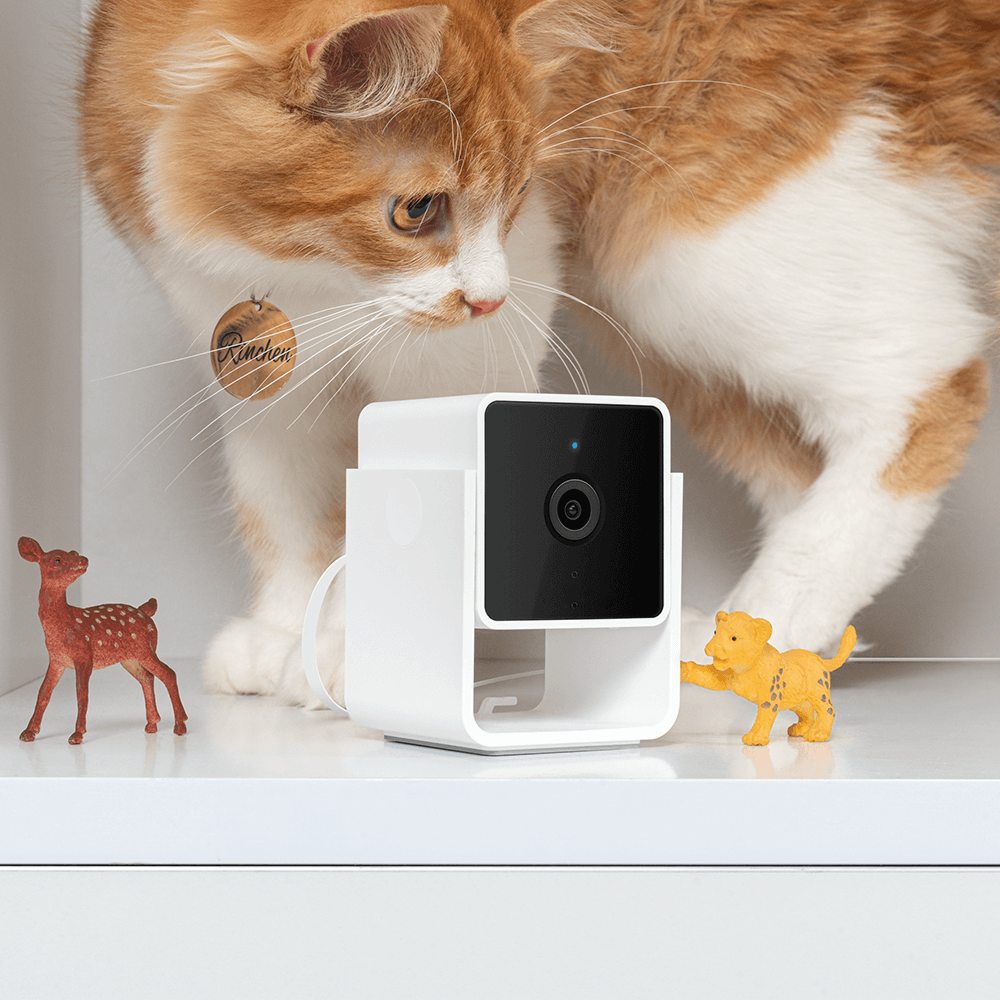 1080p Pet Camera with Two Way Audio