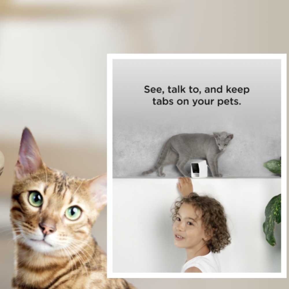 1080p Pet Camera with Two Way Audio