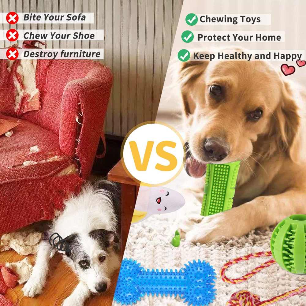 Eighteen Piece Puppy Toy Set: image 2