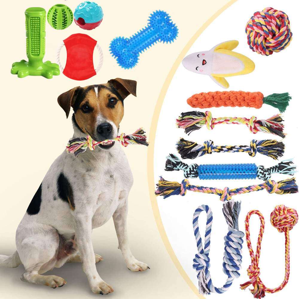Eighteen Piece Puppy Toy Set: image 4
