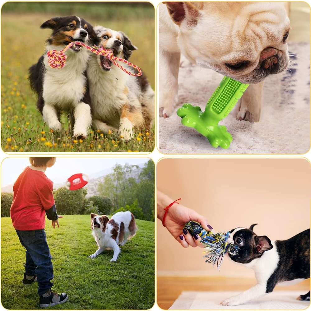 Eighteen Piece Puppy Toy Set: image 5