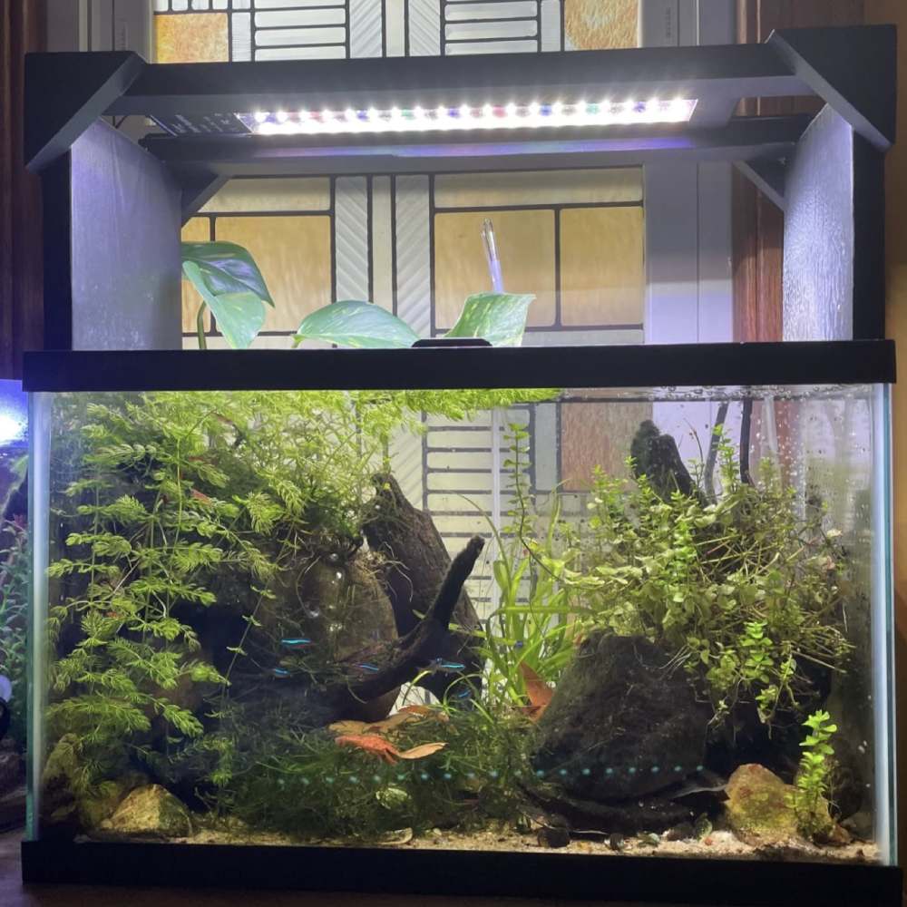 Programmable Aquarium LED with Extendable Bracket