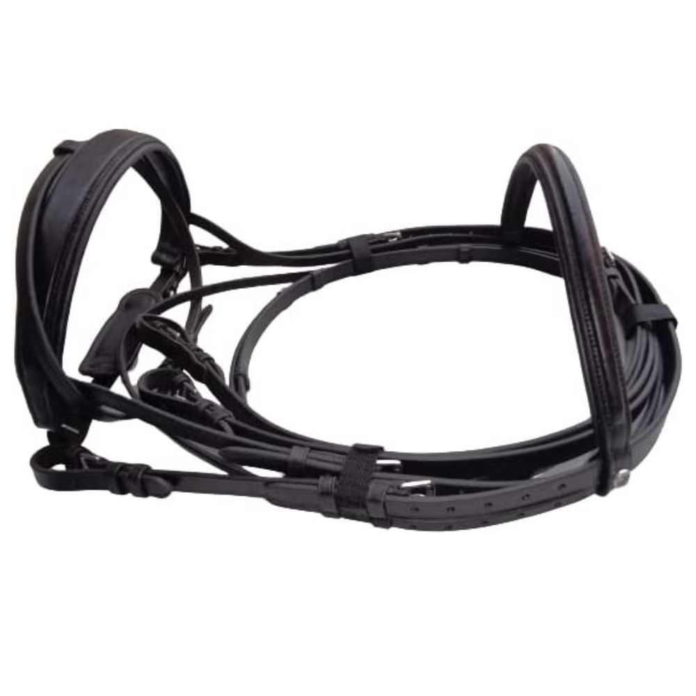 Padded Comfort Bridle in English Bridle Leather, Cob