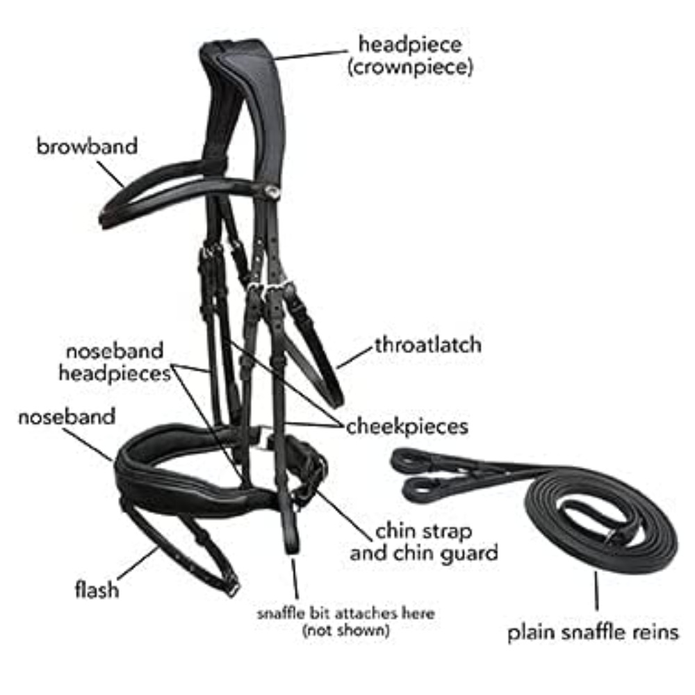 Padded Comfort Bridle in English Bridle Leather, Cob