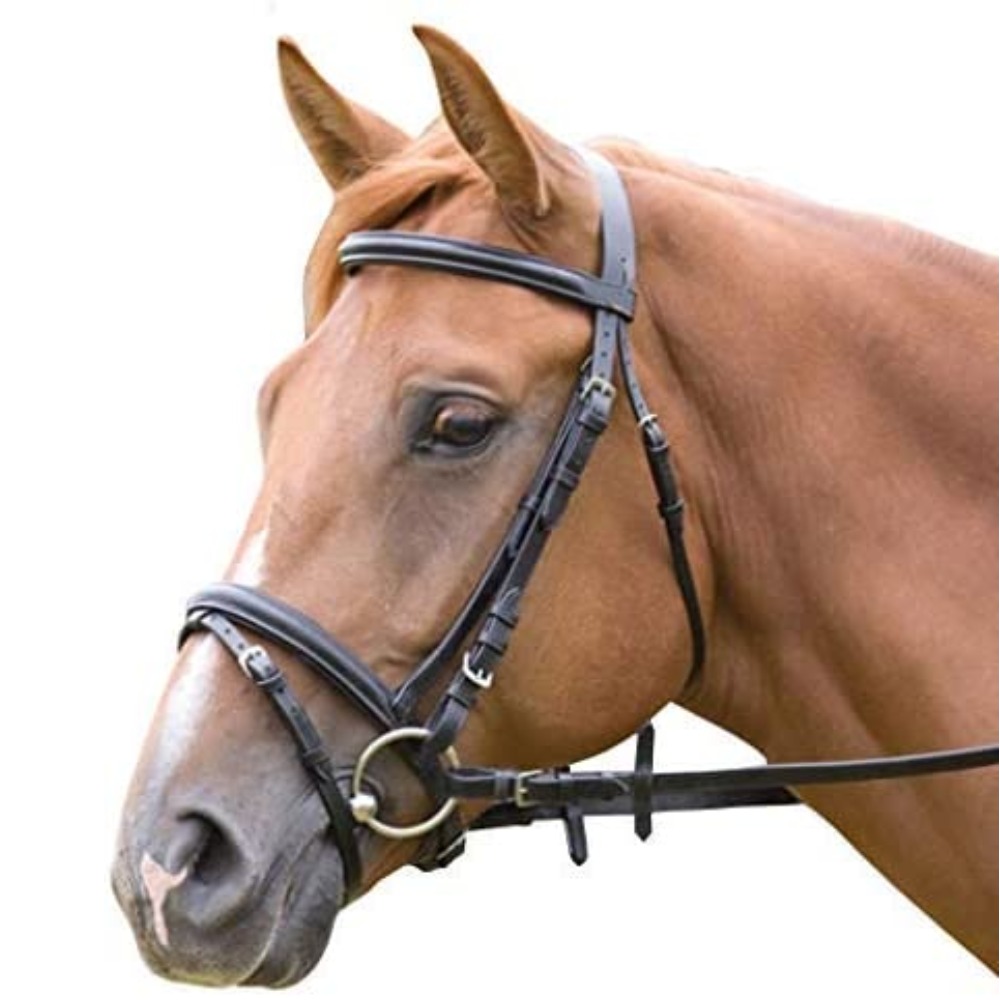 Padded Comfort Bridle in English Bridle Leather, Cob: image 7