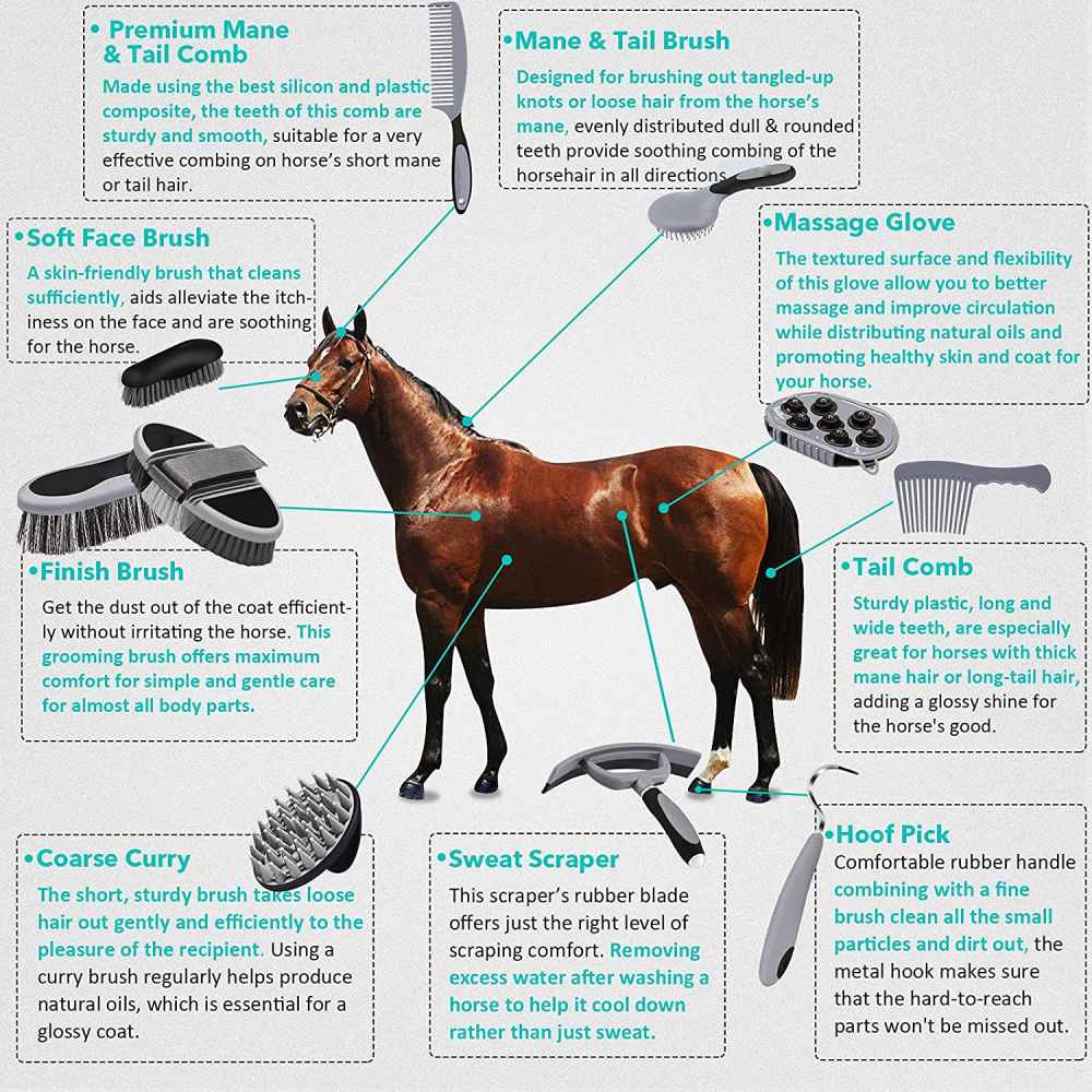 Complete Grooming Kit with Bag: image 5