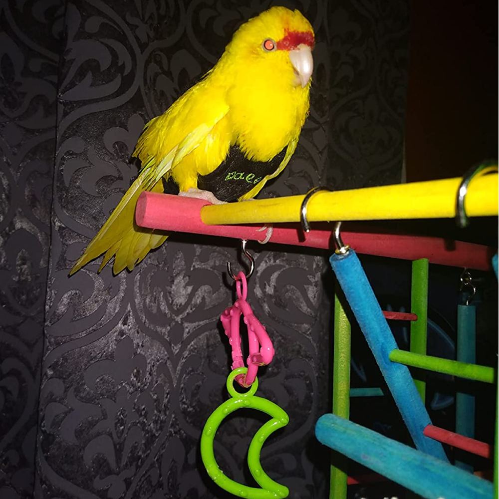 Wooden Playpen with Perches and Swing