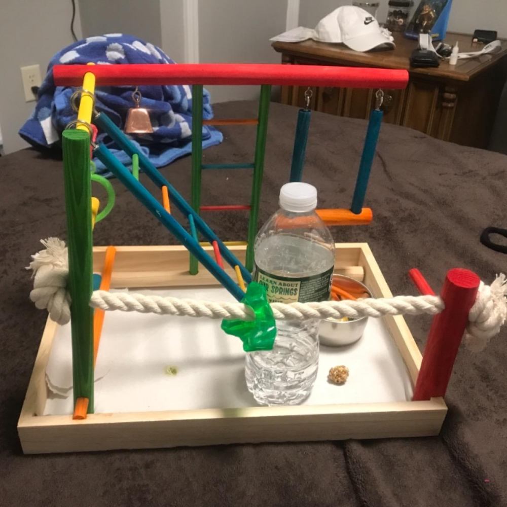 Wooden Playpen with Perches and Swing: image 6