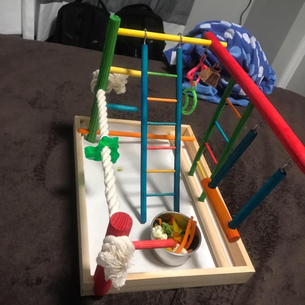 Wooden Playpen with Perches and Swing: image 8