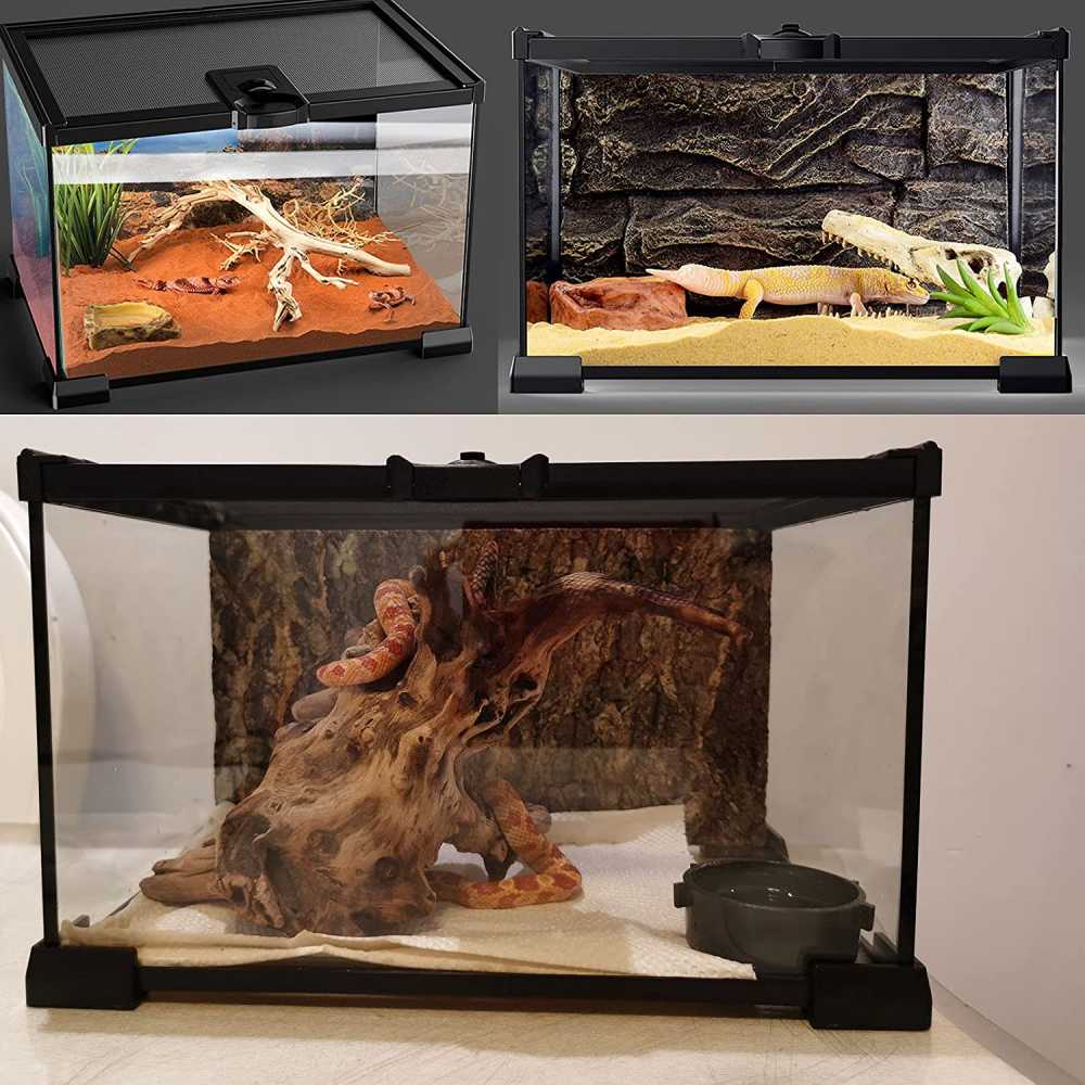 Mini Glass Terrarium with Mesh Top: image 3
