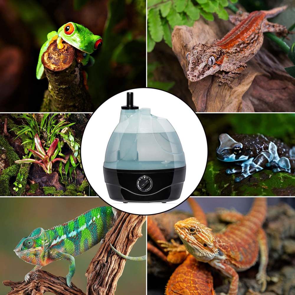 Ultrasonic Reptile Fogger
