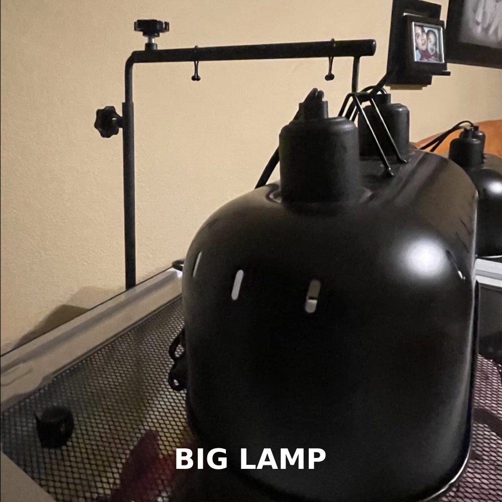 Adjustable Floor Lamp Stand: image 5