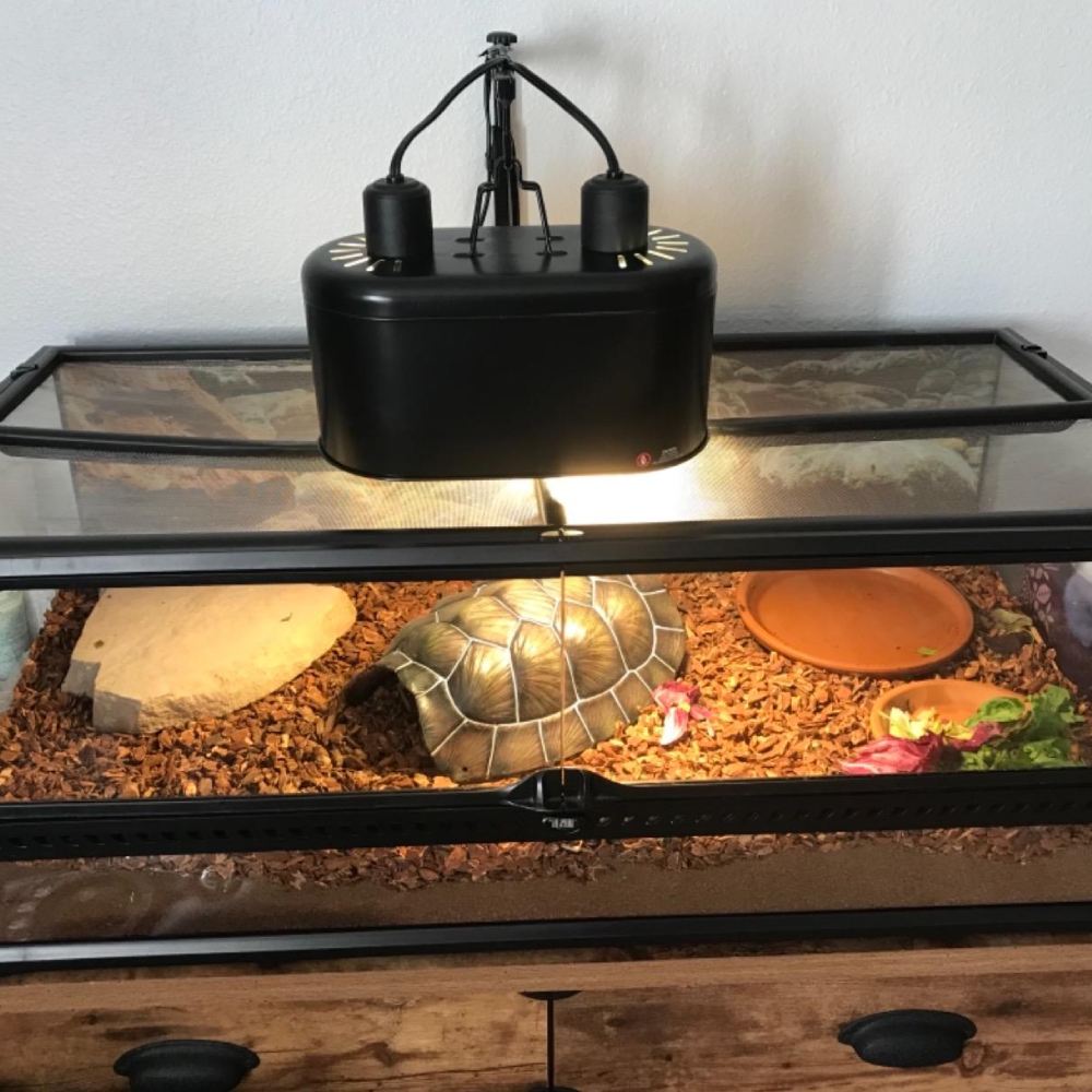 Dual Dome Reptile Light Fixture