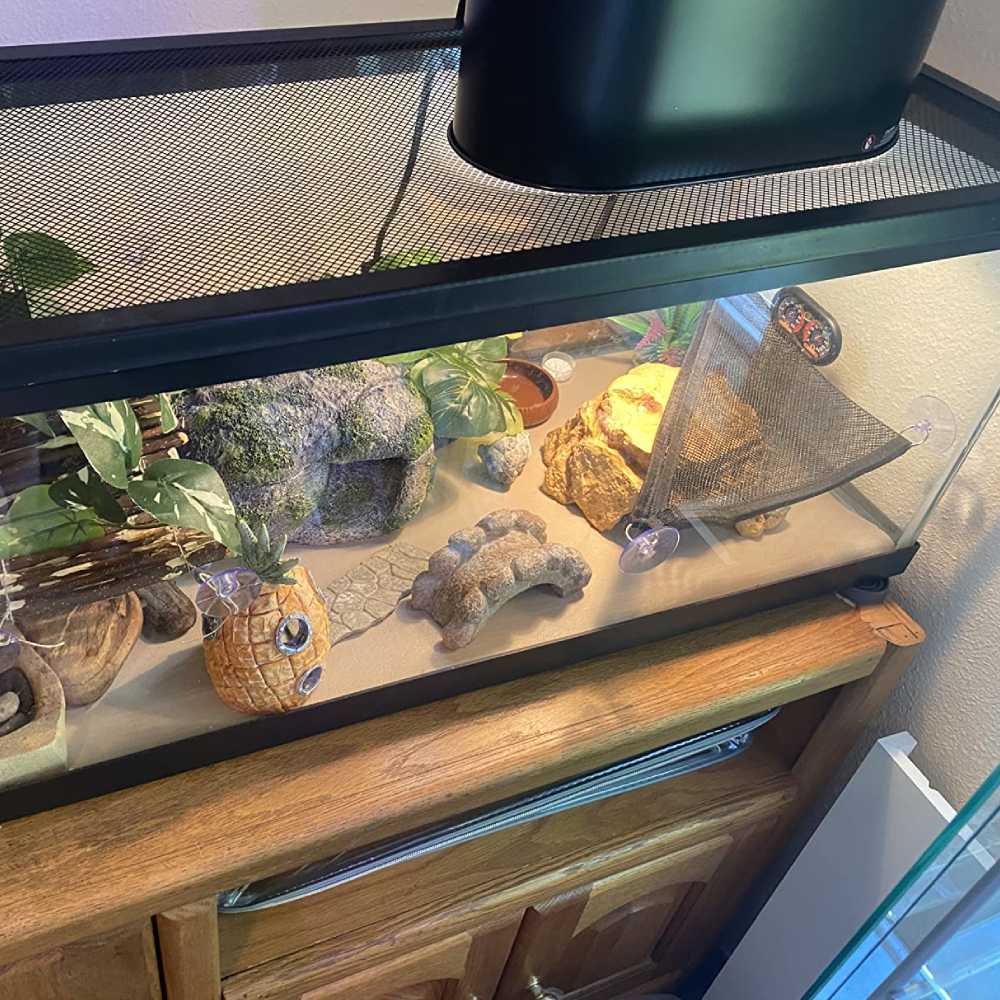 Dual Dome Reptile Light Fixture: image 6