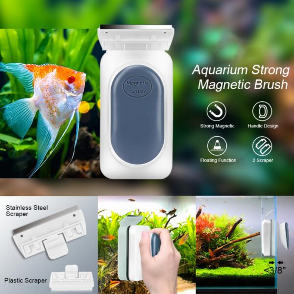 where to buy fish tank magnetic cleaner brush